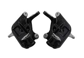 Image result for Pimpinella sp. A. of FZ 4: 594