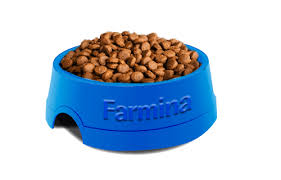 Made with real lamb, this food is 30% protein. Farmina N D Grain Free Lamb Blueberry Medium Maxi Breed Puppy