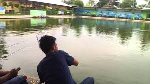 Saung Desa Ramuan Jitu Strike Bawal Agung Bks Youtube