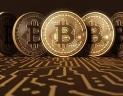 Algeria Bitcoin Telegram Group Link Join The Best Btc Group Chat In Algeria Emzat