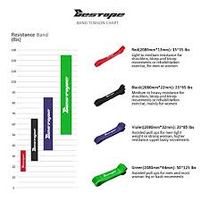 69 Prototypic Pull Up Band Chart