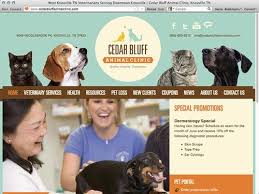 Pin On Pet Web Site Design