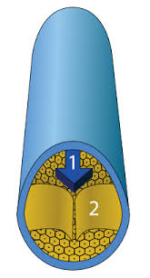 Vene Wikipedia