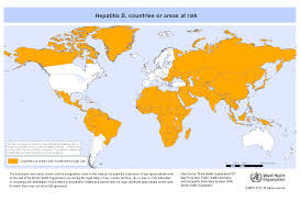 Hepatitis B Vaccine Canadian Immunization Guide Canada Ca