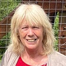 Rhondda Cynon Taf local election: The 5 candidates in Beddau and Tyn-y-nant