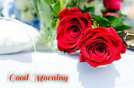 A warm hug from me to you this morning.good morning video=====music : 20 Flowers Good Morning Images Good Morning Images Love