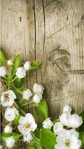Spring Flowers Live Wallpaper For Android App Free Download Spring Flowers Wallpaper Spring Wallpaper Hello Spring Wallpaper