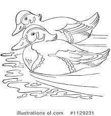Learn about the different wood floor colors out there to help you decide what kind of flooring would suit your home and decor preferences best. Duck Clipart 1129231 Illustration By Picsburg