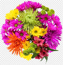 With a foam base and a ribbon handle, these step 3: Png Format Images Of Flowers Fresh Flowers In Publix Pura Vida Transparent Png 484x499 12367948 Png Image Pngjoy
