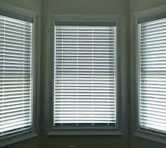 Tinted Window Shades Detectivesmadrid Co