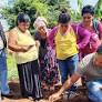 Varias comunidades indígenas se capacitan a producir cebolla rentable