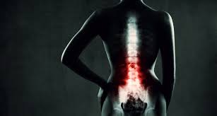 Speech = the ability to speak spinal cord = the thick string of nerves that lies in your back. Is This A New Era Of Innovation In Spine Neo Medical