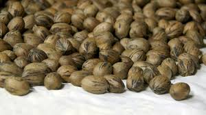 And, the best part is you can be snacking in less than 10 minutes.you're welcome. News Page Pecan Report