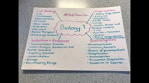 Give a reason for your answer. Aqa Gcse Paper 1 Biology Revision Youtube