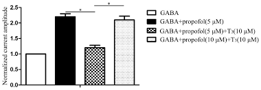 Effect Of Non Genomic Actions Of Thyroid Hormones On The