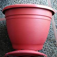 Shop our great selection of large plastic plant & save. Plastic Plant Pots For Sale Bigger Doum Aralous Farm Facebook