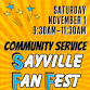 Community Service: Sayville Fan Fest event image