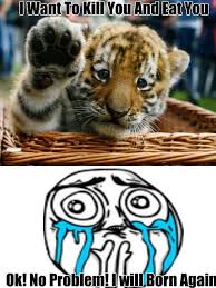 Little Tiger Baby Memes Baby Memes Animals Tiger Quotes