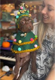 Frenchie and The Grinch Pictures