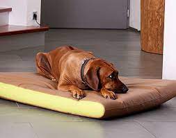 Memory foam is a pretty good bed material for most dogs, but some benefit more from it than others. Product Infos And Design From Pet Interiors