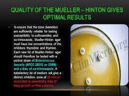 Mueller hinton agar (mha) can be purchased from commercial suppliers or can also be prepared from the dehydrated medium. Mueller Hinton Agar Mha Preparation Composition And Uses Laboratoryinfo Com