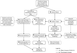 Reversible Platypnea Orthodeoxia In Covid 19 Acute Respiratory Distress Syndrome Survivors Sciencedirect