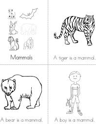 Mammals Mini Book Mini Books Mammals Activities Mammals