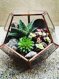 The Best Mini Geometric Glass Terrarium Ideas Terrariumideasunique Succulent Garden Indoor Succulent Terrarium Glass Terrarium