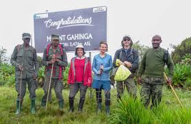 Image result for Cirsium  buchwaldii