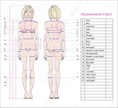 The skin covering an average adult, has a surface area of about 1.5 square metres and a mass of about 12 kg, including the hypodermal fat layer.it protects the body against mechanical damage, uv radiation, and pathogens; Woman Body Measurement Chart Scheme For Measurement Human Body Royalty Free Cliparts Vectors And Stock Illustration Image 97129647