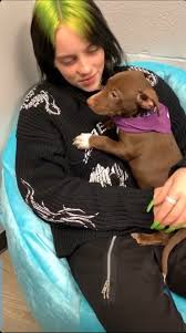 Billlie And Pups Billie Billie Eilish Famous Singers