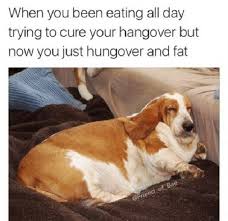 Hung Over On A Sunday Quotes 30 Hangover Memes That Are Way Too True Sayingimages Com Dogtrainingobedienceschool Com