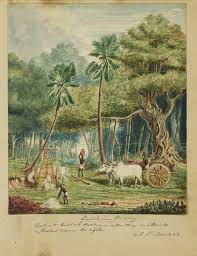 visualising British India ...