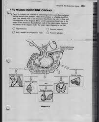 180 anatomy & physiology coloring workbook. Solved 160 Anatomy Physiology Coloring Workbook 5 Figu Chegg Com