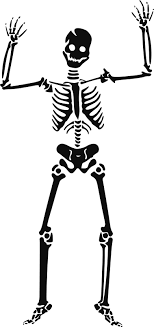 Download Download Skeleton Svg For Free Designlooter 2020