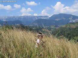What are the best things to do in bran? Bran Moeciu RucÄr Rom Nia AtracÈii Turistice Fun Restaurante Taverne Amfostacolo Pag 1 2 Amfostacolo