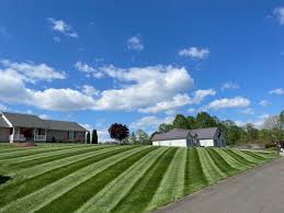 And most of all, we understand the importance of customer satisfaction. Tuttle S Lawn Care Every Lawn Needs A Little Tlc