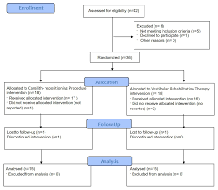 Image result for Canalith Repositioning Procedure
