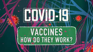 Do vaccines work against variants? In Rare Instances South Africa Variant May Evade Pfizer Vaccine Researchers Say Abc News