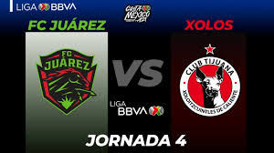 Resumen, resultado y goles de la final de la copa américa 2021. Nf0dvo0izmhqcm