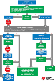 A treatment algorithm for emergent invasive cardiac procedures in the resuscitated comatose patient. Pediatric Cardiac Arrest Algorithm Or Confirmed Covid 19 Patients