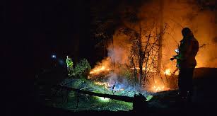 Skogsbrand kan medföra stora påfrestningar på boende och på de skogsägare som drabbas. 8 Sidor Flera Brander I Skogen