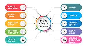 What is a Web Server? What are the Types of Web Servers?