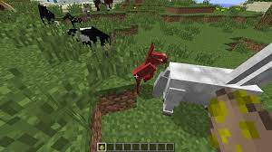 Mc 13632 Horses Can Be Pushed Into Blocks And Then Take Suffocation Damage Jira