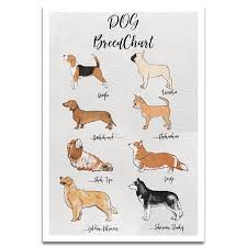 Visionary Prints Dog Breed Chart Print Animals Wall Art Brown Beige Dog Art Modern Contemporary Poster Print 13x19 Inch