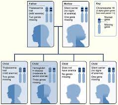 Thalassemia - Causes | Nhlbi, Nih