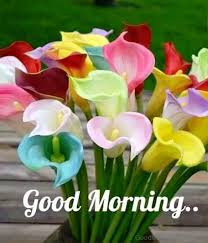 Maybe you would like to learn more about one of these? 162 Lovely Good Morning Wishes With Flowers