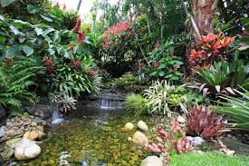 Tropical Garden Not Where I Live Google Image Result For Www Thinkandbeins Tropische Gartengestaltung Tropische Garten Tropische Landschaftsgestaltung