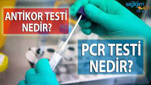 Testte ilk uygulanan adım sürüntü yani örnek almadır. Antikor Testi Ile Pcr Testi Arasindaki Fark Ne Youtube