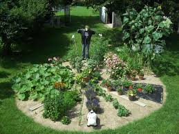 Epingle Sur Idees Pour Potager